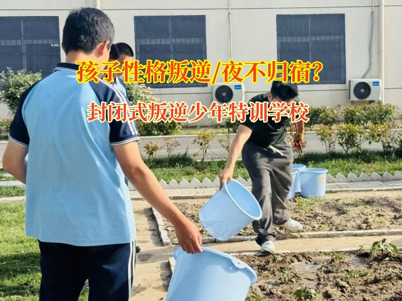 封闭式叛逆少年特训学校破除青春期“夜不归宿”迷局