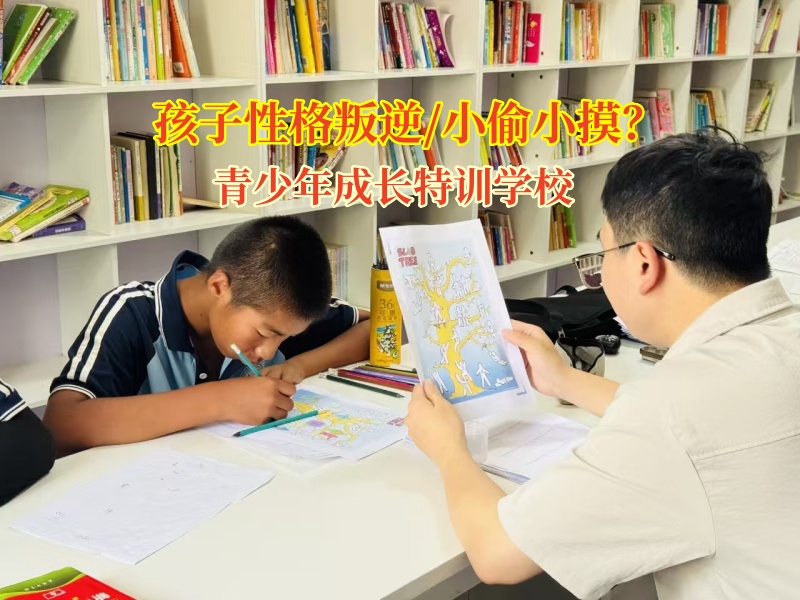 破“小摸”困局，青少年成长特训学校为青少年成长引航