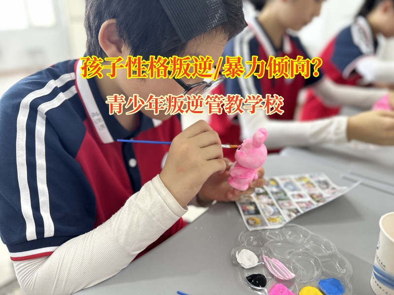 青少年叛逆管教学校管教孩子暴力行为