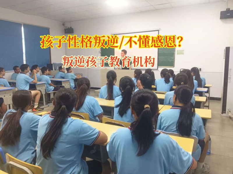 叛逆孩子教育机构帮助孩子学会感恩与体谅