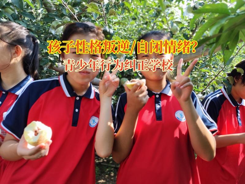 青少年行为纠正学校帮孩子走出自闭“迷雾”