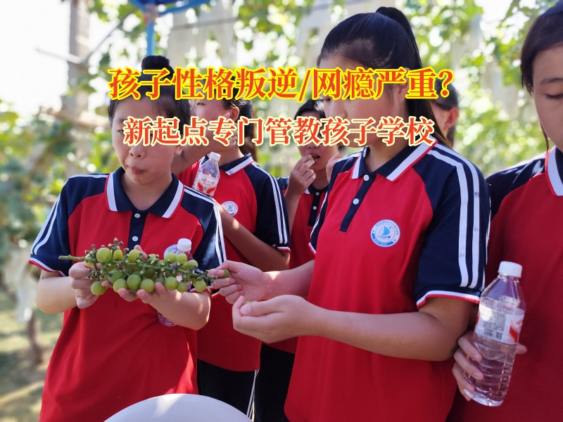 新起点专门管教孩子学校为迷途少年点亮归航明灯