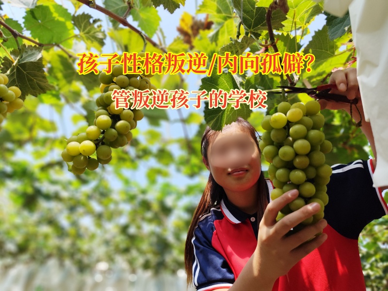 管叛逆孩子的学校点亮孤僻叛逆孩子的心灯