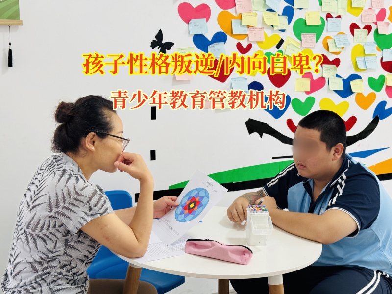青少年教育管教机构护“胖”羽翼，绽自信光芒
