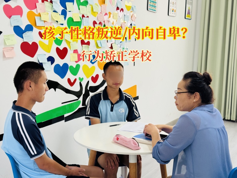 行为矫正学校：点亮孩子自主与主见之光