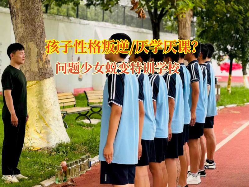 破“厌学”之茧，问题少女蜕变特训学校点亮学习之光