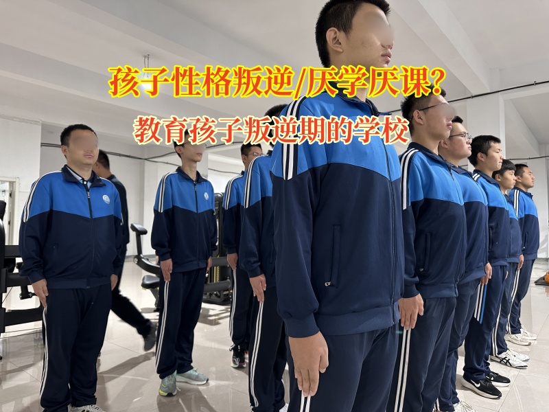 教育孩子叛逆期的学校浅谈成绩下降的关键原因