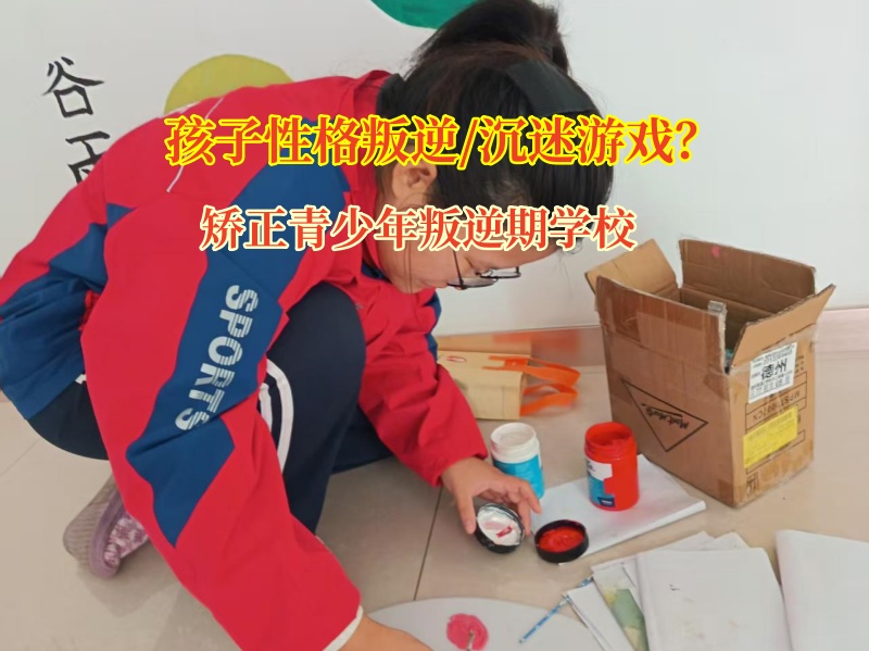 矫正青少年叛逆期学校矫正沉迷网络孩子的案例