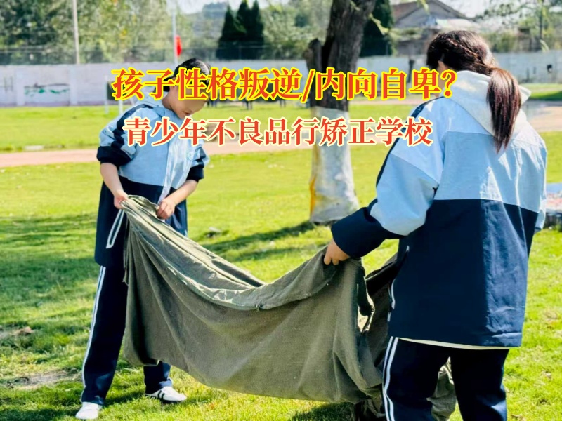 青少年不良品行矫正学校教育特别胆小的青少年 青少年不良品行矫正学校教育特别胆小的青少年