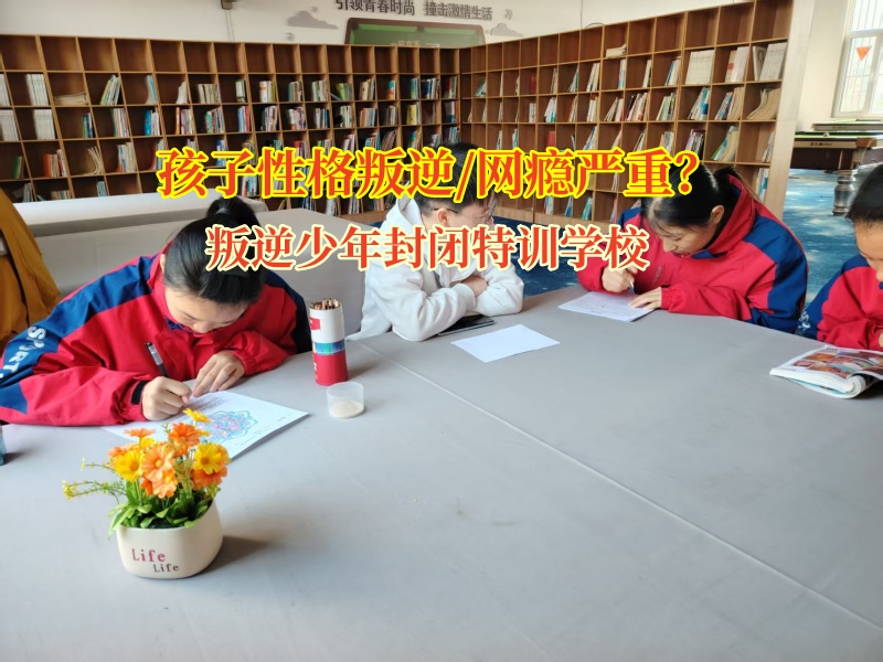 叛逆少年封闭特训学校教育青春期攀比叛逆的孩子 叛逆少年封闭特训学校教育青春期攀比叛逆的孩子