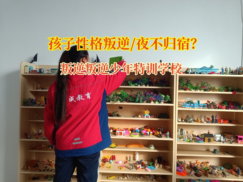 叛逆叛逆少年特训学校改变青少年夜不归宿 叛逆叛逆少年特训学校改变青少年夜不归宿
