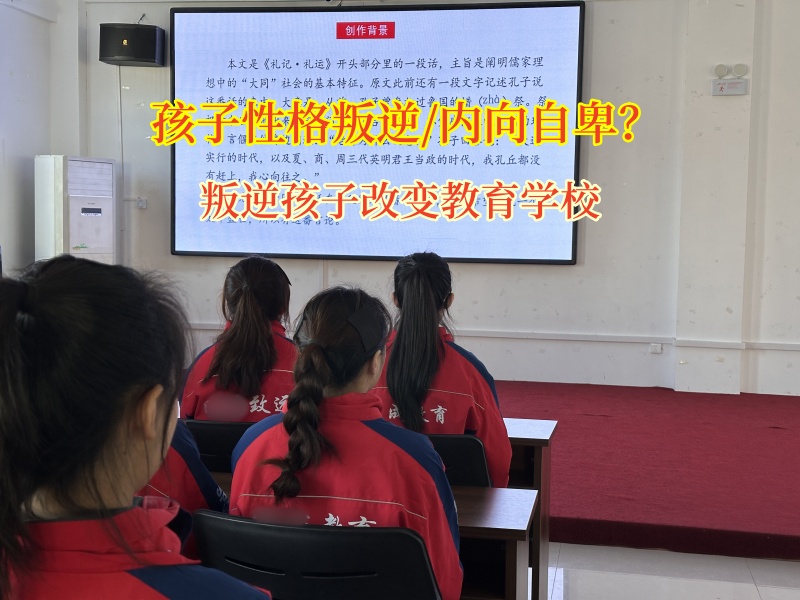 叛逆孩子改变教育学校改变青少年自卑心理