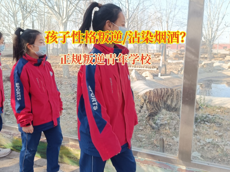 正规叛逆青年学校帮助孩子远离酒精 正规叛逆青年学校帮助孩子远离酒精