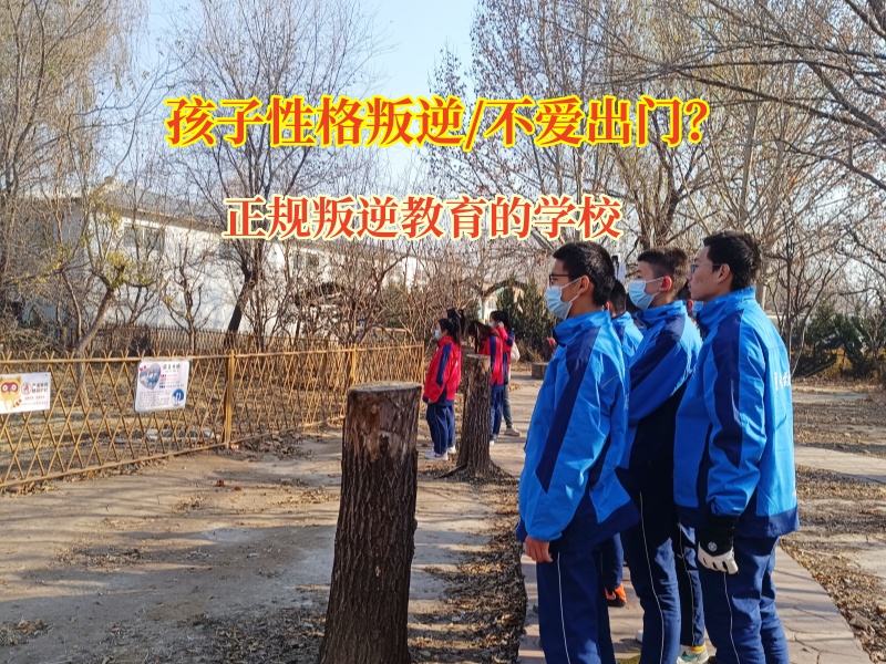 正规叛逆教育的学校助力孩子走出不爱出门阴霾 正规叛逆教育的学校助力孩子走出不爱出门阴霾